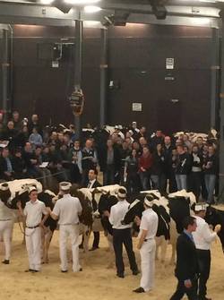Holstein Espace Gruyère
