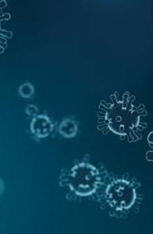 Coronavirus : le Conseil d’Etat interdit tout rassemblement de plus de 50 personnes