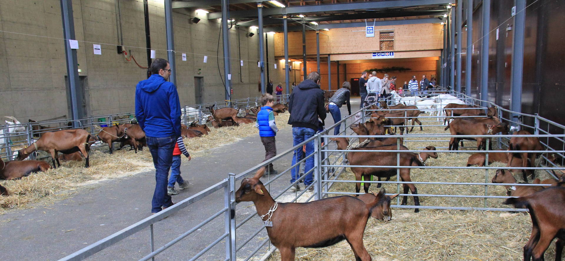 Halle modulable pour expositions Espace Gruyère Bulle