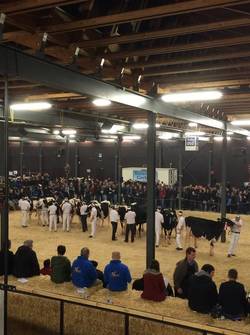 Holstein Espace Gruyère
