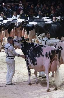 EXPO Bulle 2020 est annulée