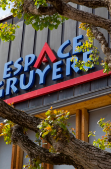 Sans surprise, un exercice 2019 en demi-teinte